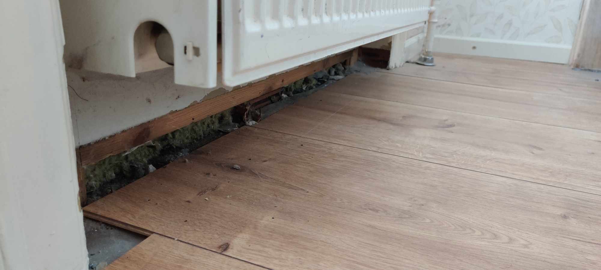 Indlæg: Skimmelsvampe: En dyr overraskelse